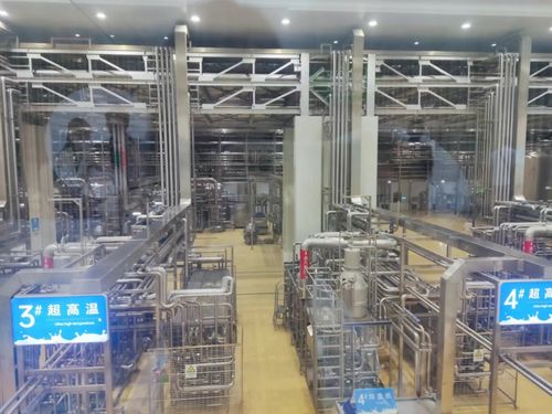 實地參觀，見證數字化力量 2024印刷業數字化工廠建設推進會圓滿收官